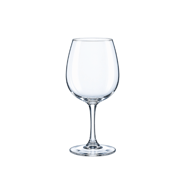 Verres Arcoroc Vina